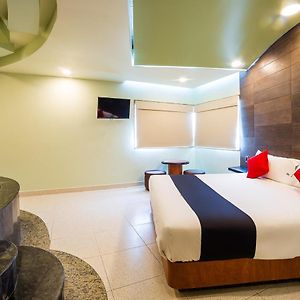 Suite con Cama King